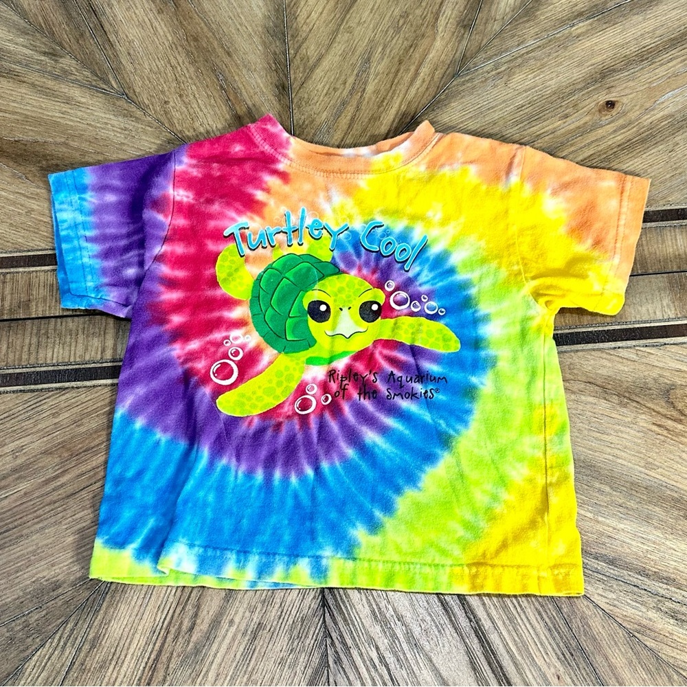 EUC Turtley Cool Tie-dyed Toddler T-shirt—Size 2T